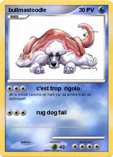 Pokemon bullmastoodle