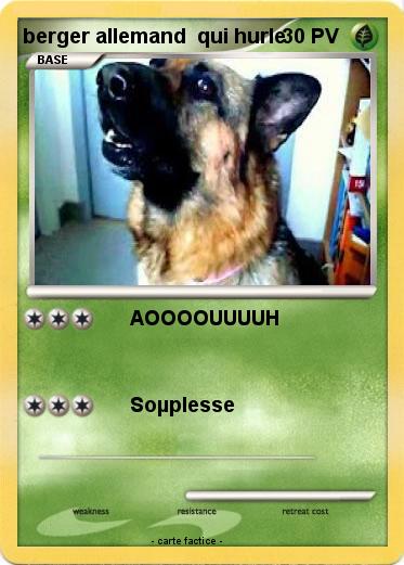 Pokemon berger allemand  qui hurle