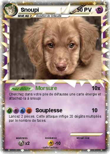 Pokemon Snoupi