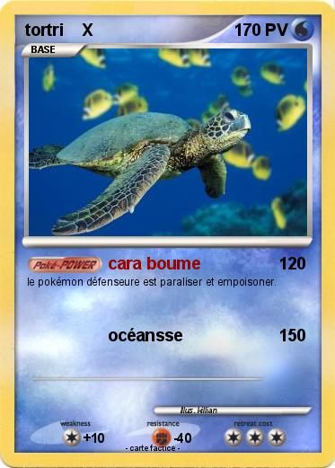 Pokemon tortri    X