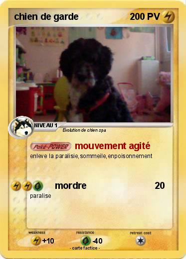 Pokemon chien de garde