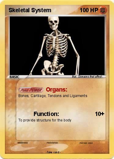 Pokemon Skeletal System
