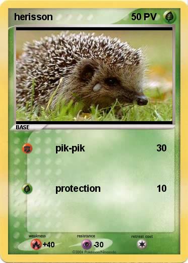 Pokemon herisson