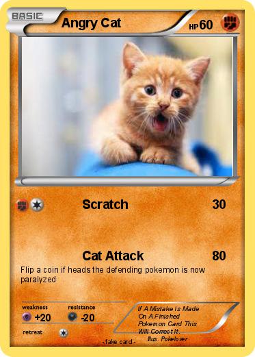 Pokemon Angry Cat