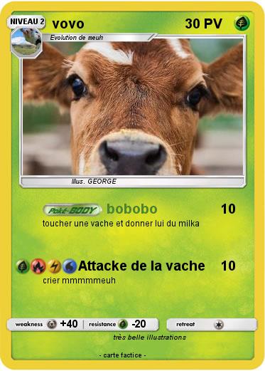 Pokemon vovo