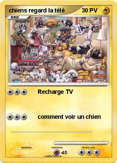 Pokemon chiens regard la télé