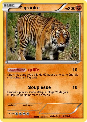 Pokemon Tigroutre