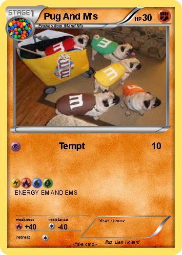 Pokemon Pug And M's