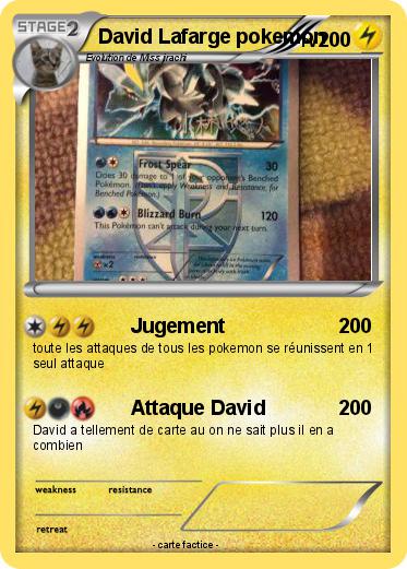 Pokemon David Lafarge pokemon
