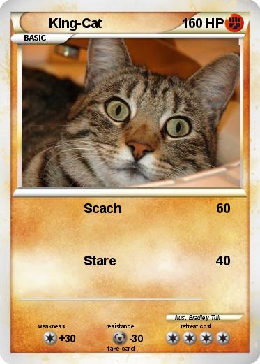 Pokemon King-Cat