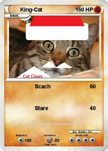 Pokemon King-Cat