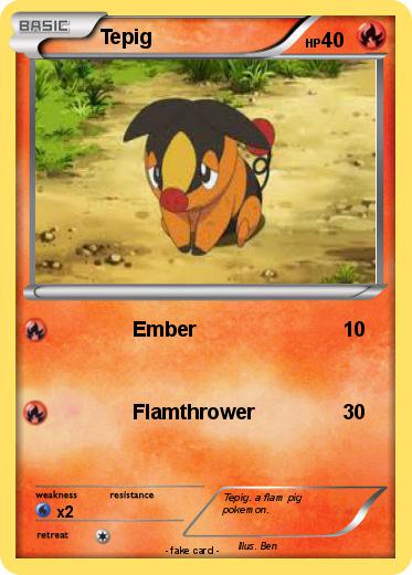 Pokemon Tepig