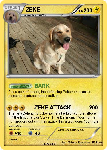 Pokemon ZEKE