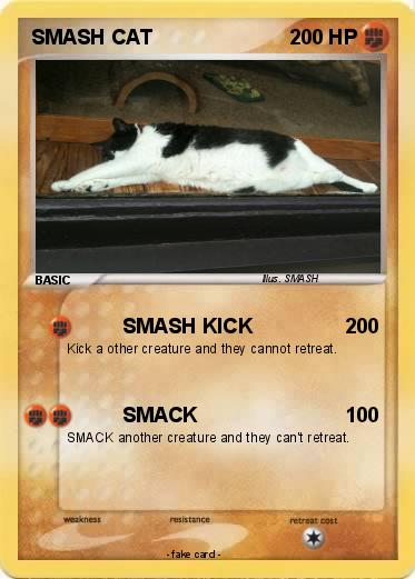 Pokemon SMASH CAT