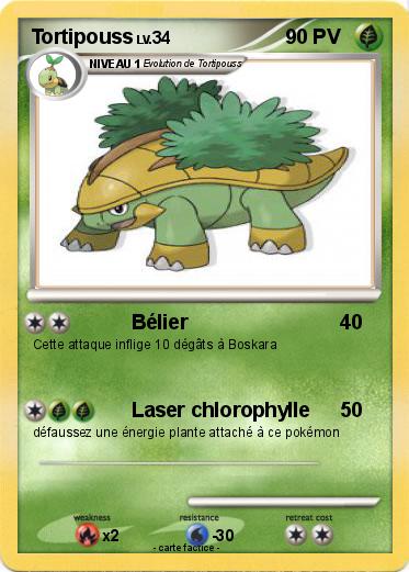 Pokemon Tortipouss