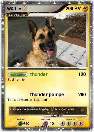 Pokemon wolf