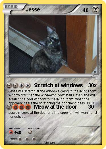 Pokemon Jesse