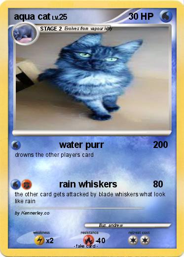 Pokemon aqua cat