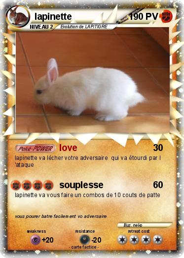 Pokemon lapinette