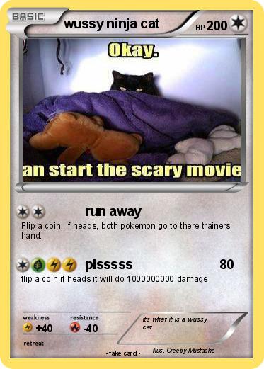 Pokemon wussy ninja cat