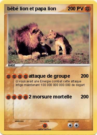 Pokemon bébé lion et papa lion