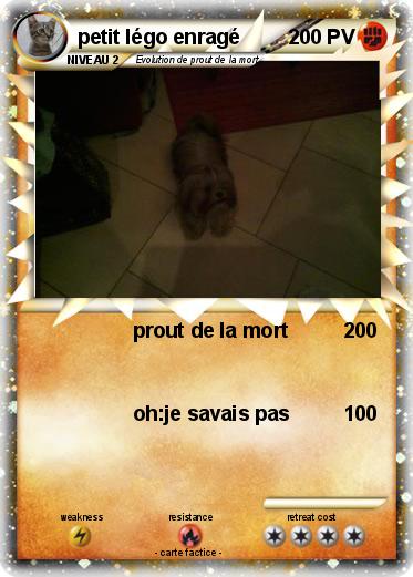 Pokemon petit légo enragé