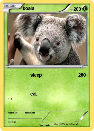 Pokemon koala