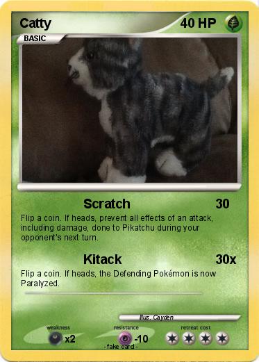 Pokemon Catty