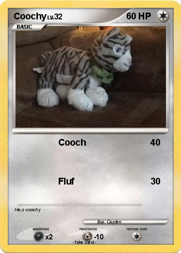 Pokemon Coochy