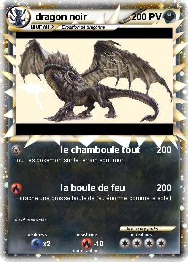 Pokemon dragon noir