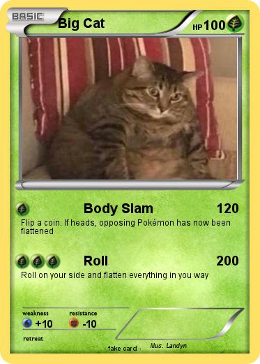 Pokemon Big Cat