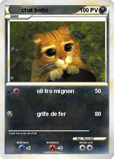 Pokemon chat botté