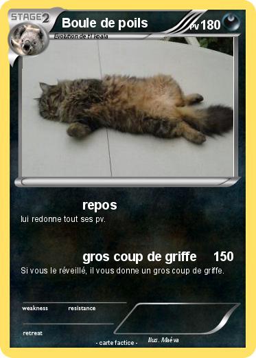 Pokemon Boule de poils