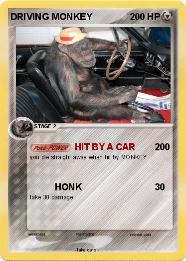 Pokemon DRIVING MONKEY