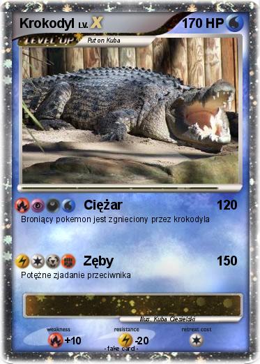 Pokemon Krokodyl