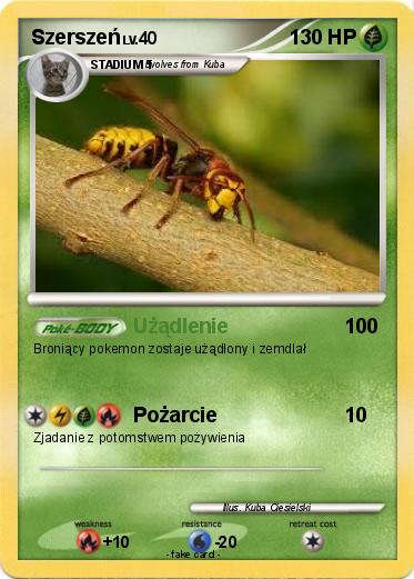 Pokemon Szerszeń