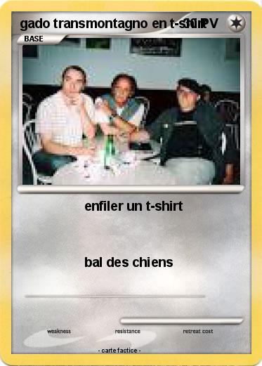 Pokemon gado transmontagno en t-shirt