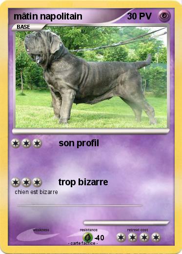 Pokemon mâtin napolitain