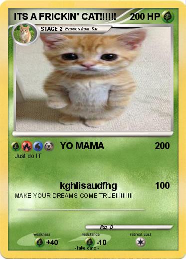 Pokemon ITS A FRICKIN' CAT!!!!!!