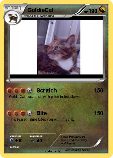 Pokemon GoldieCat