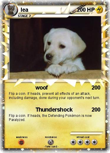 Pokemon lea