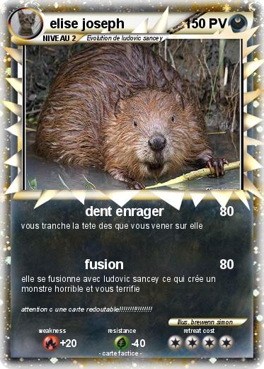 Pokemon elise joseph