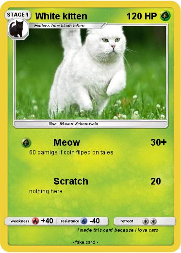 Pokemon White kitten