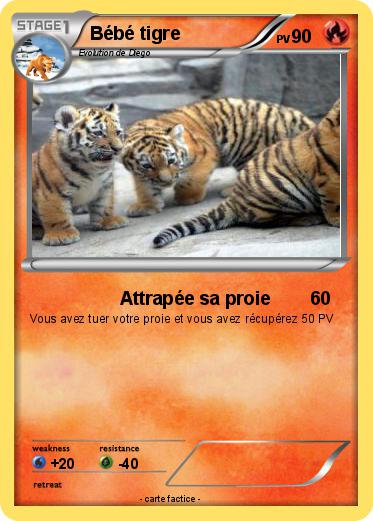 Pokemon Bébé tigre