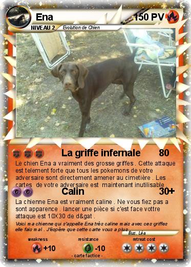 Pokemon Ena