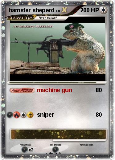 Pokemon hamster sheperd