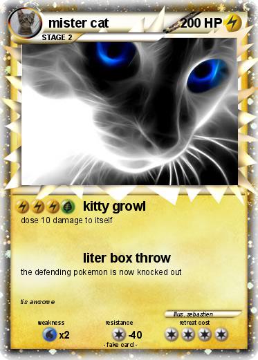 Pokemon mister cat
