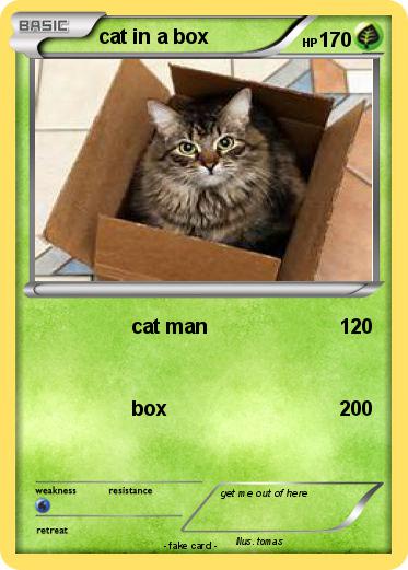 Pokemon cat in a box