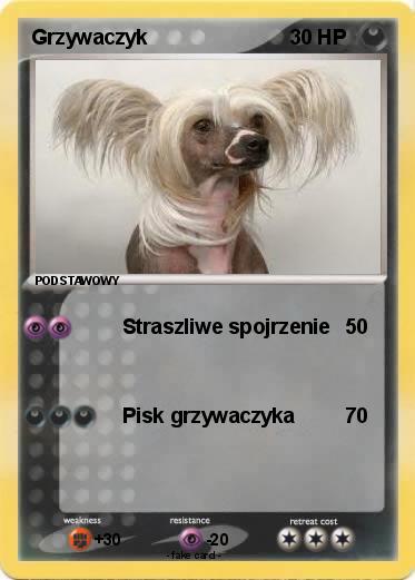 Pokemon Grzywaczyk