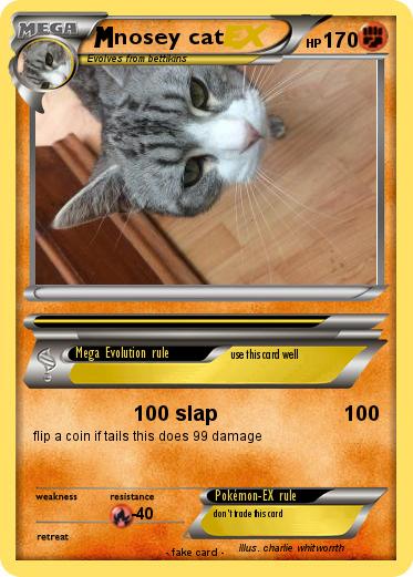 Pokemon nosey cat